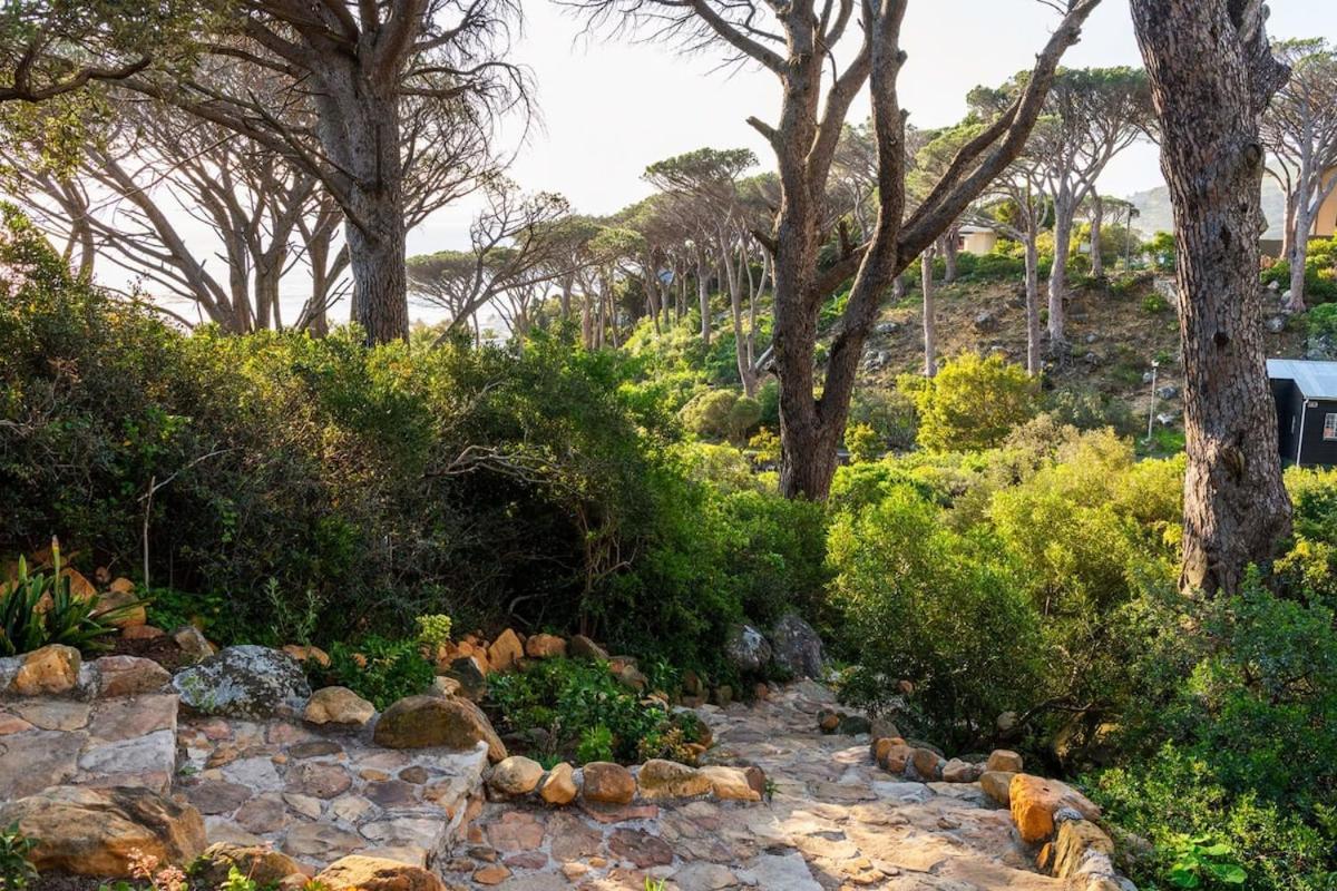 Lush Family Home In Prestigious Area Cape Town Exterior photo